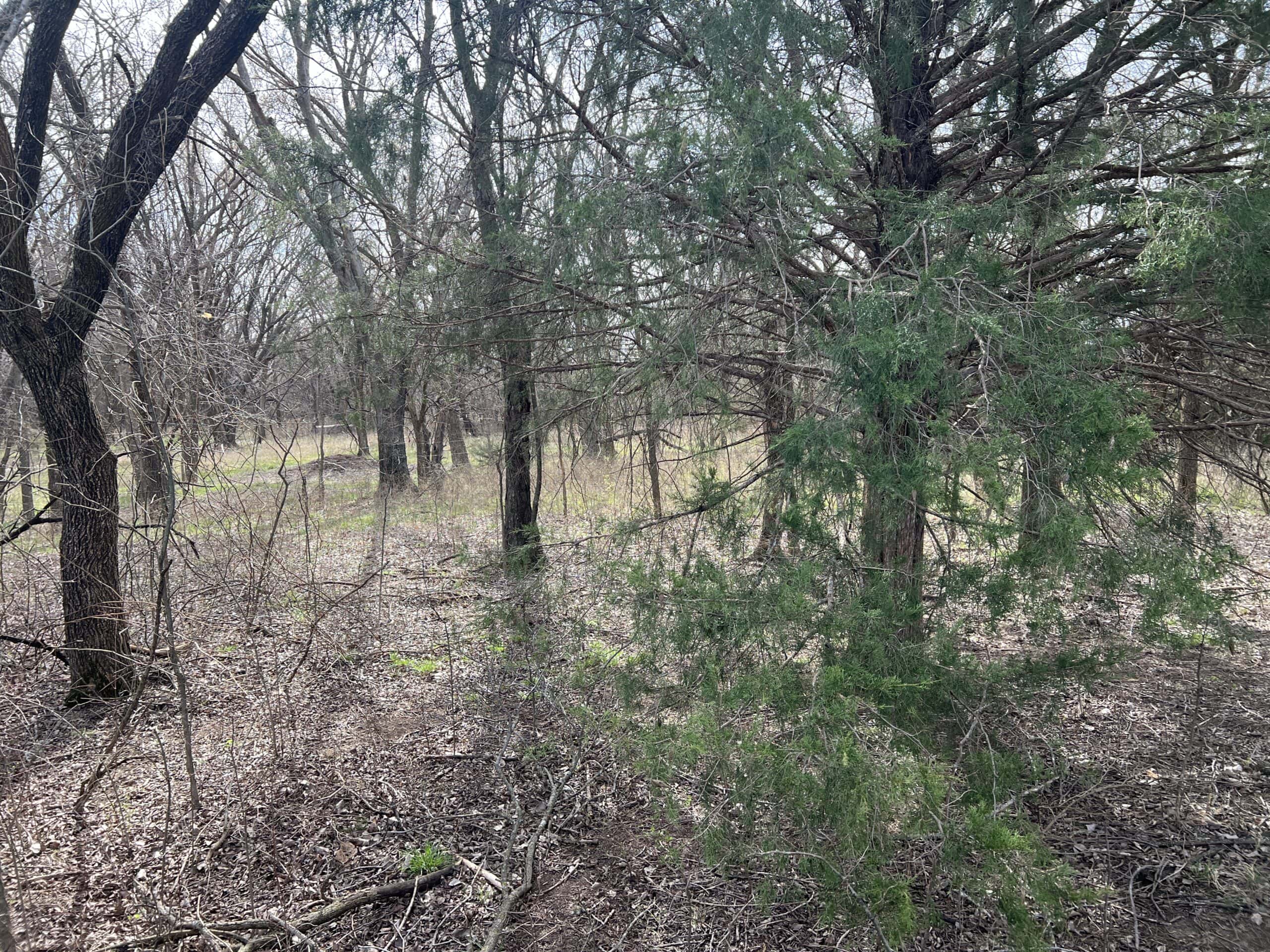 Exceptional 60-Acre Property Benton, KS