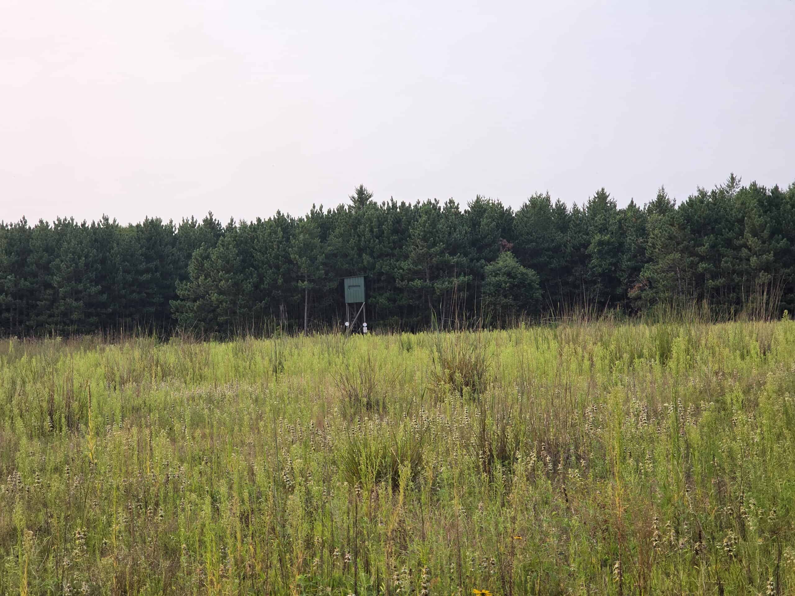 160± acre Monroe County property Located off dead end road,