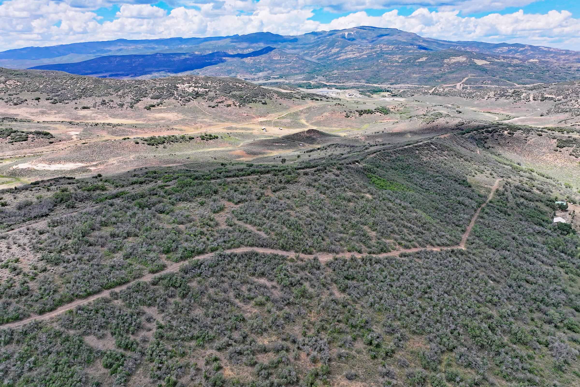 36 Acres in Harrison Creek, Collbran,  CO