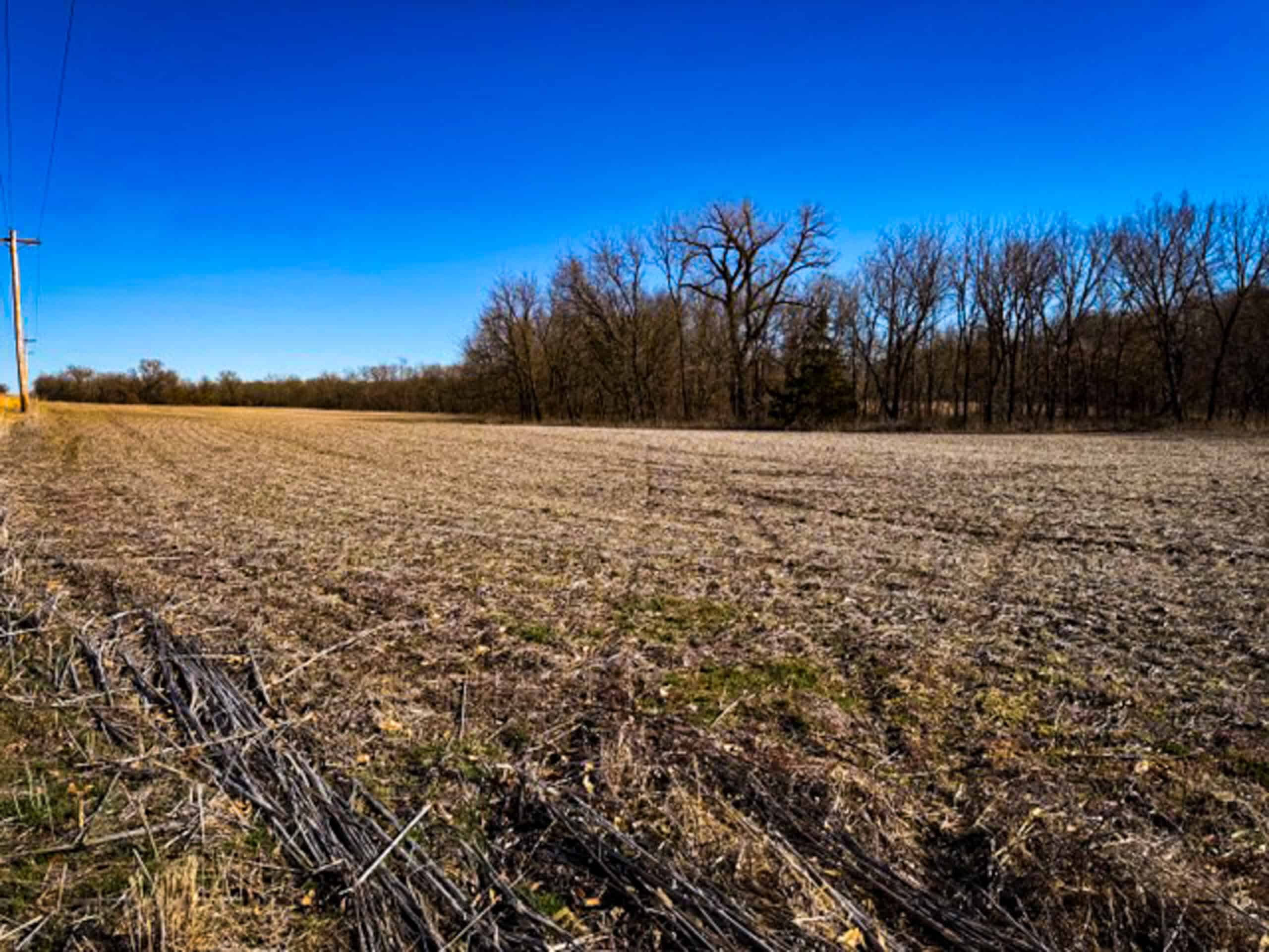 19± Acres of Land for Sale in Daviess County, Missouri