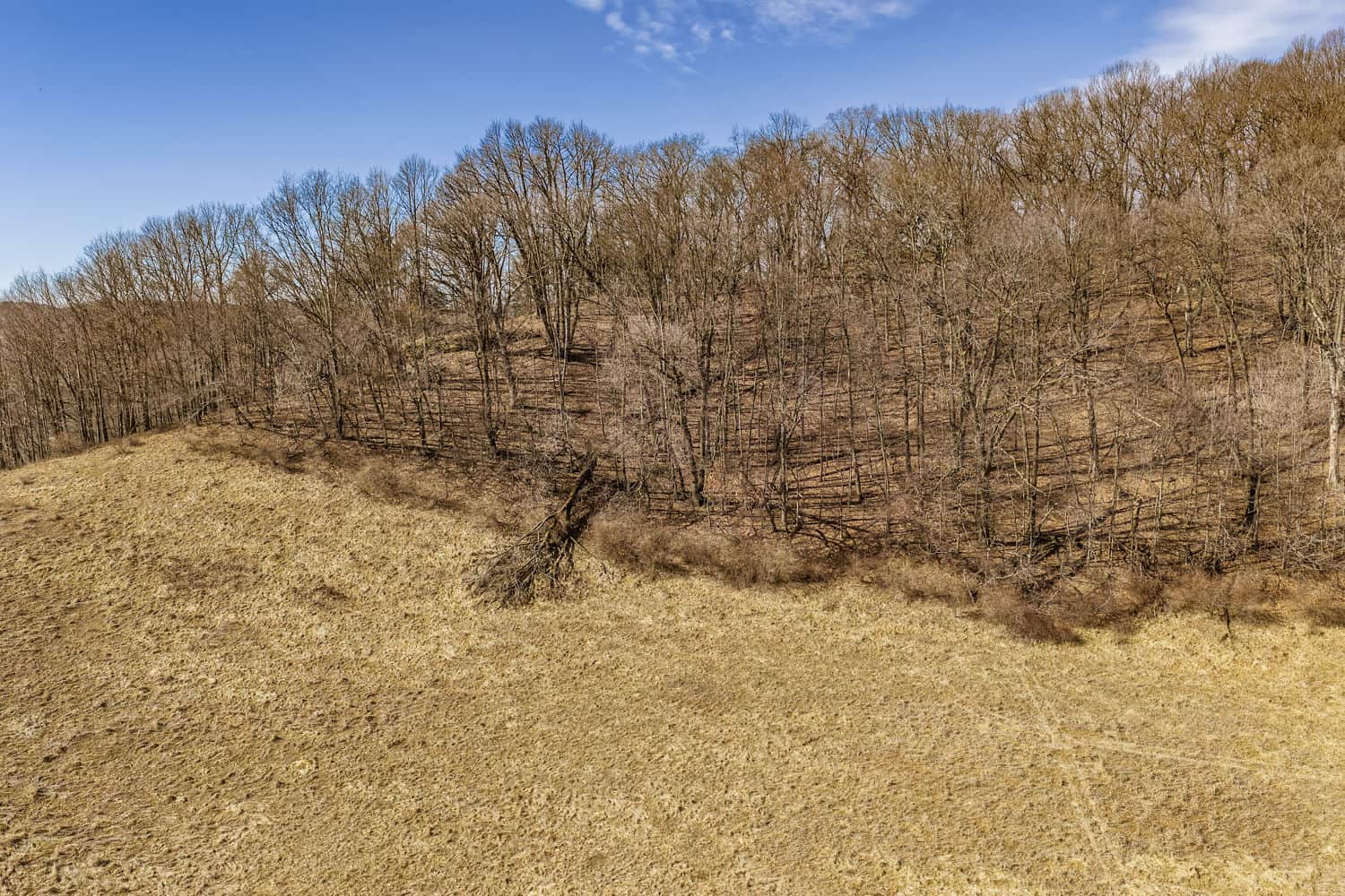 45 +/- Acres Driftless Region of Richland County