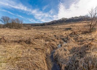 95± Acres Driftless Hunting & Recreational Land Richland County, Wisconsin