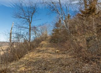 95± Acres Driftless Hunting & Recreational Land Richland County, Wisconsin