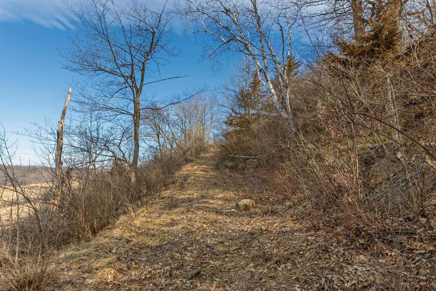 95± Acres Driftless Hunting & Recreational Land Richland County, Wisconsin