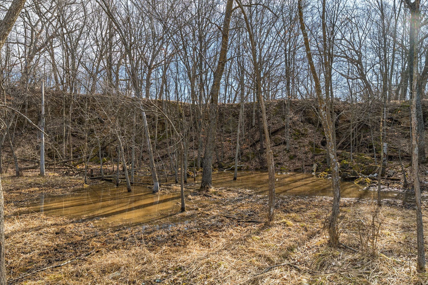 95± Acres Driftless Hunting & Recreational Land Richland County, Wisconsin