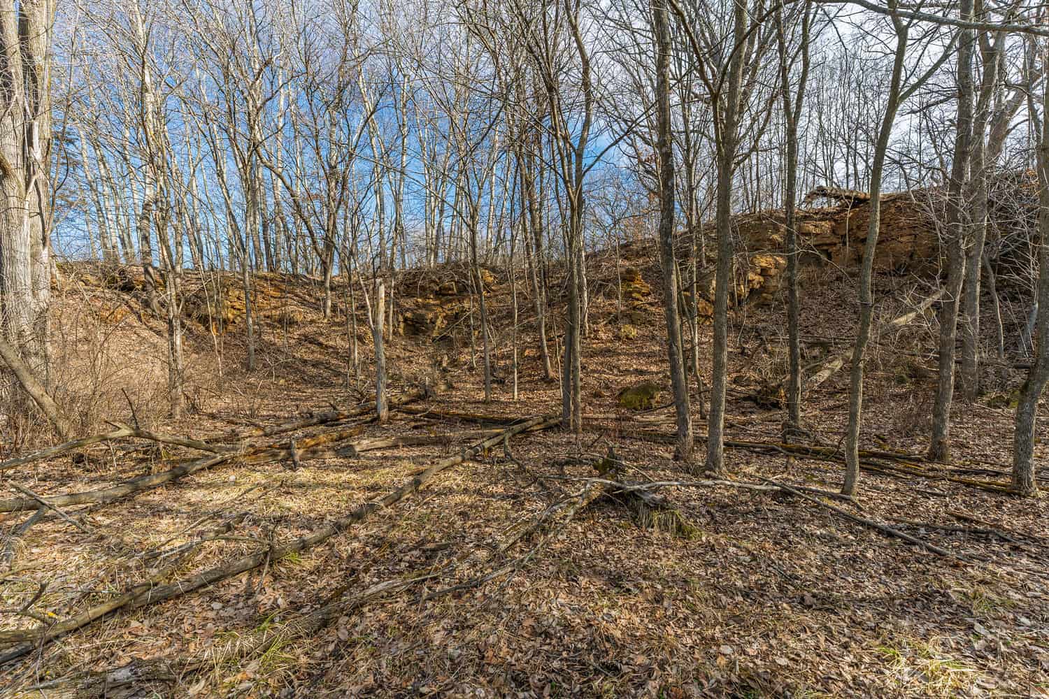 95± Acres Driftless Hunting & Recreational Land Richland County, Wisconsin