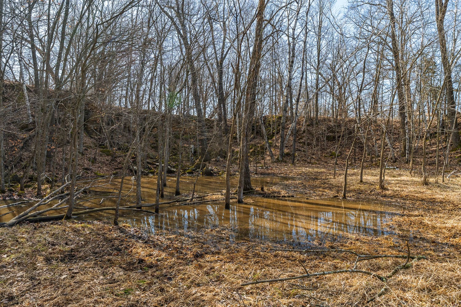 95± Acres Driftless Hunting & Recreational Land Richland County, Wisconsin