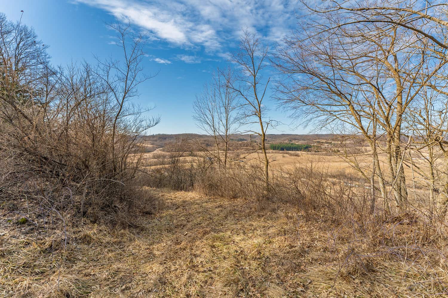 95± Acres Driftless Hunting & Recreational Land Richland County, Wisconsin