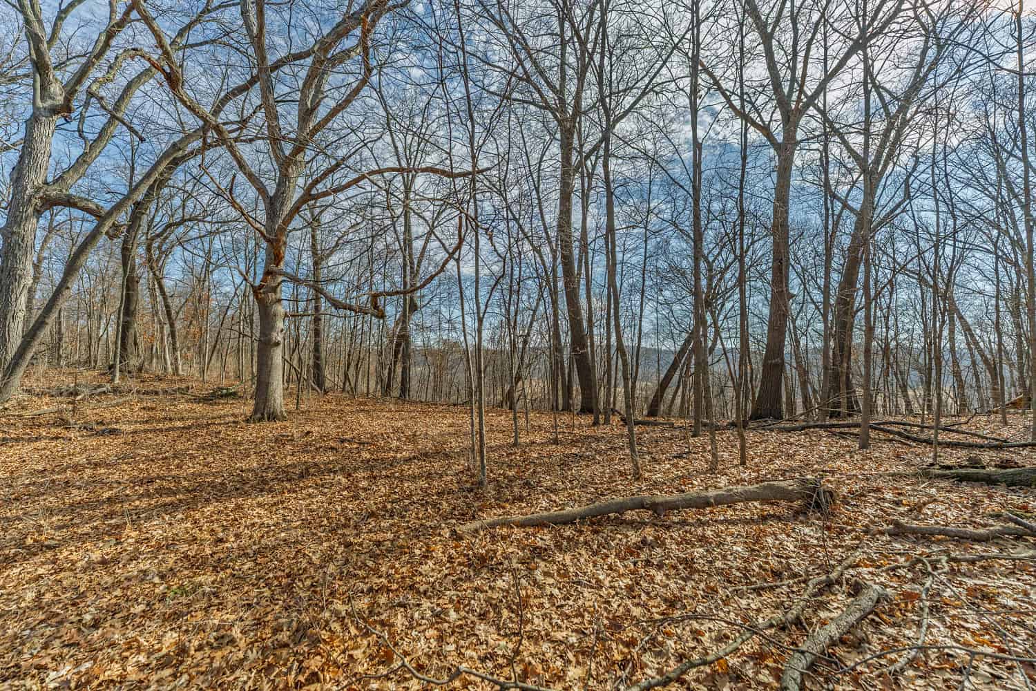 95± Acres Driftless Hunting & Recreational Land Richland County, Wisconsin