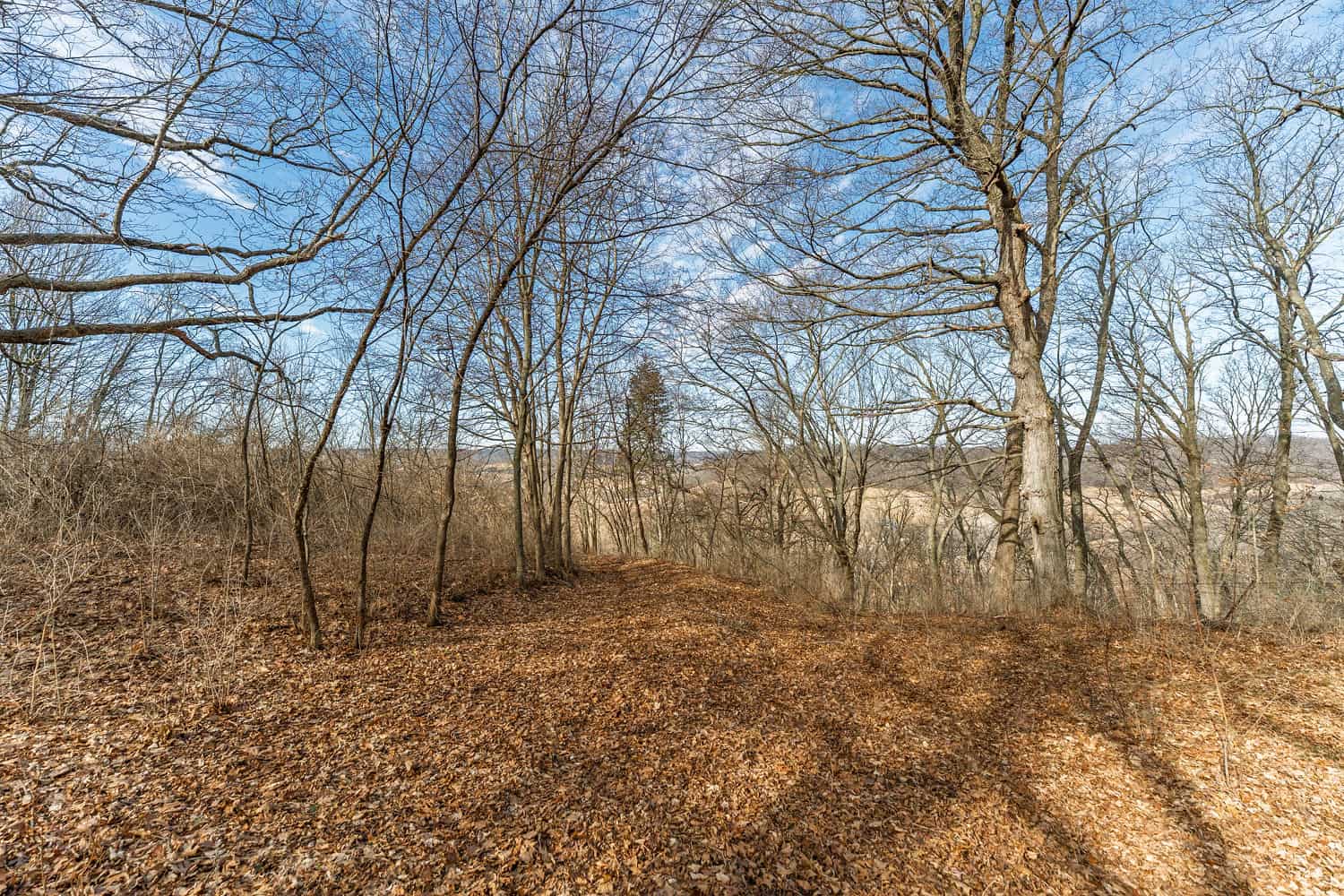 95± Acres Driftless Hunting & Recreational Land Richland County, Wisconsin