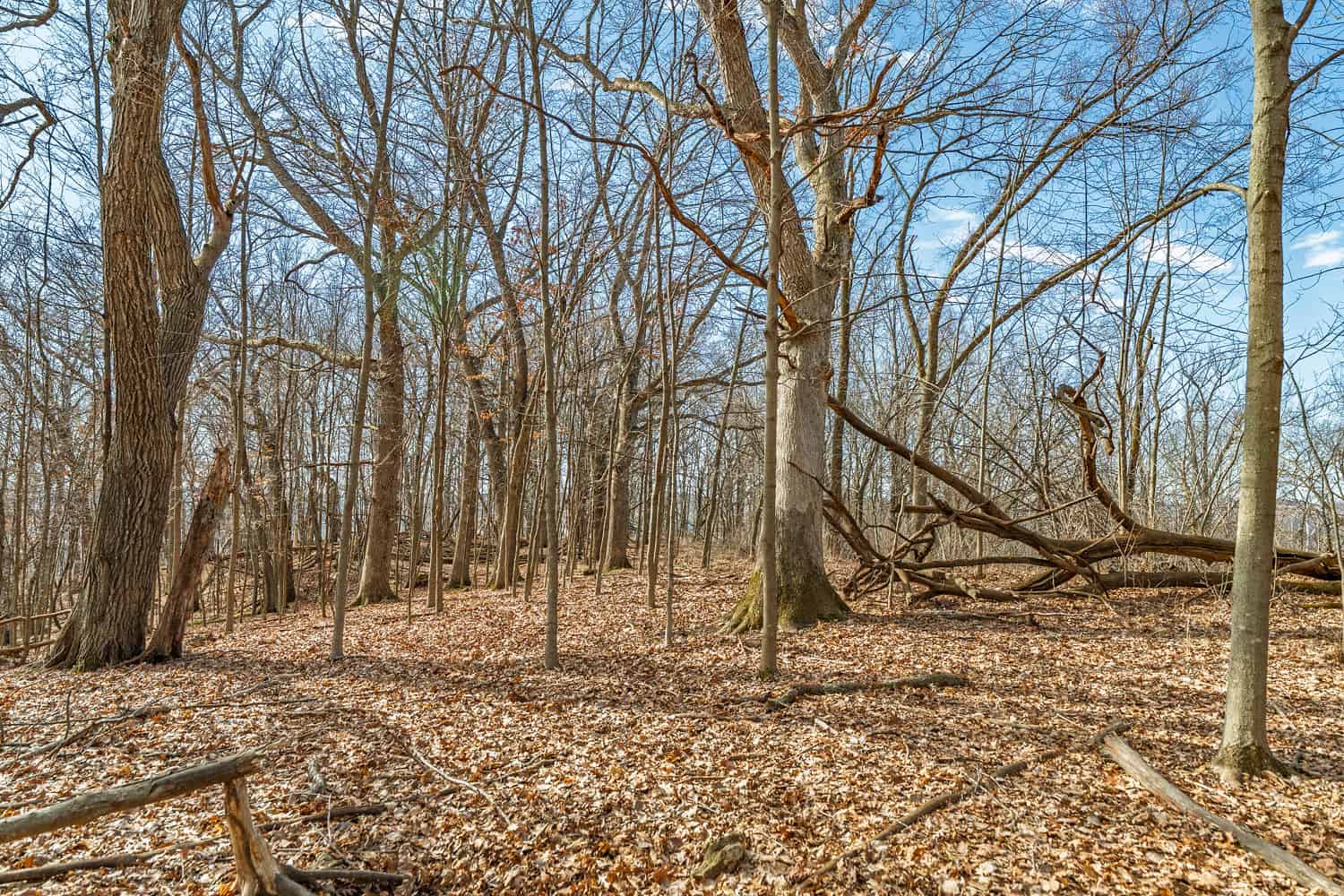 95± Acres Driftless Hunting & Recreational Land Richland County, Wisconsin