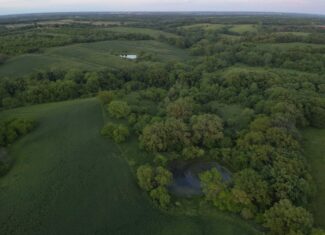 125+/- Acres | Combination Farm with Timber, Pasture & Hunting Potential | Appanoose County, IA