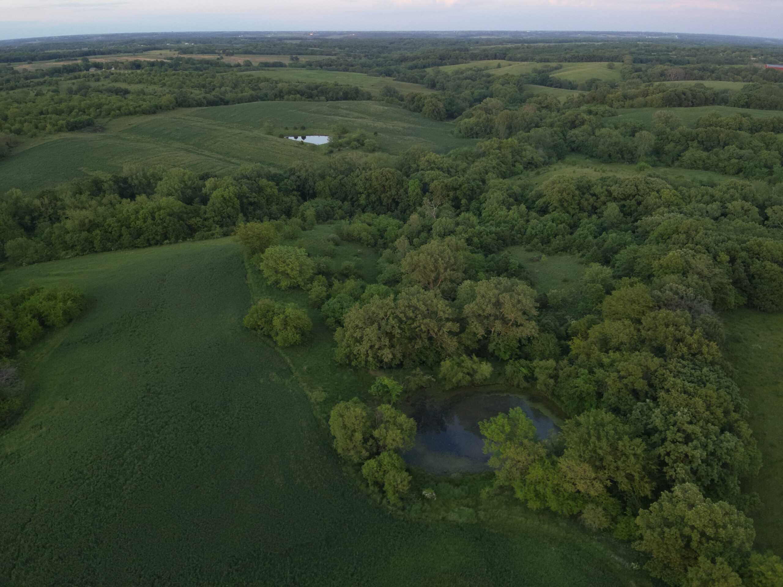 125+/- Acres | Combination Farm with Timber, Pasture & Hunting Potential | Appanoose County, IA