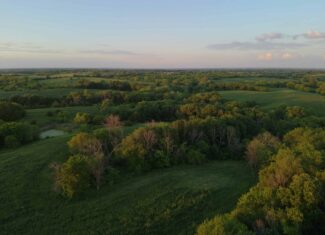 125+/- Acres | Combination Farm with Timber, Pasture & Hunting Potential | Appanoose County, IA
