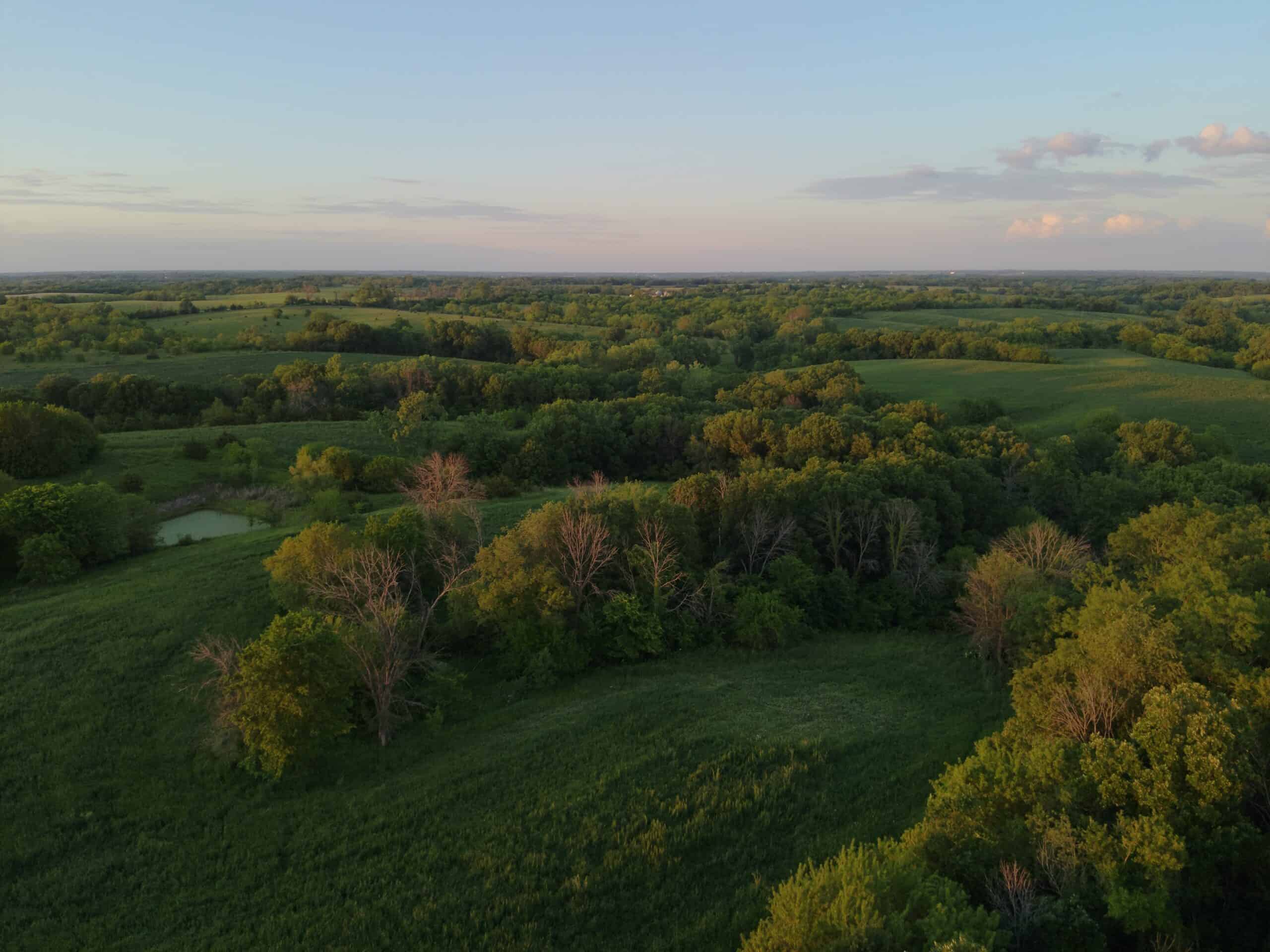 125+/- Acres | Combination Farm with Timber, Pasture & Hunting Potential | Appanoose County, IA