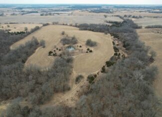 125+/- Acres | Combination Farm with Timber, Pasture & Hunting Potential | Appanoose County, IA