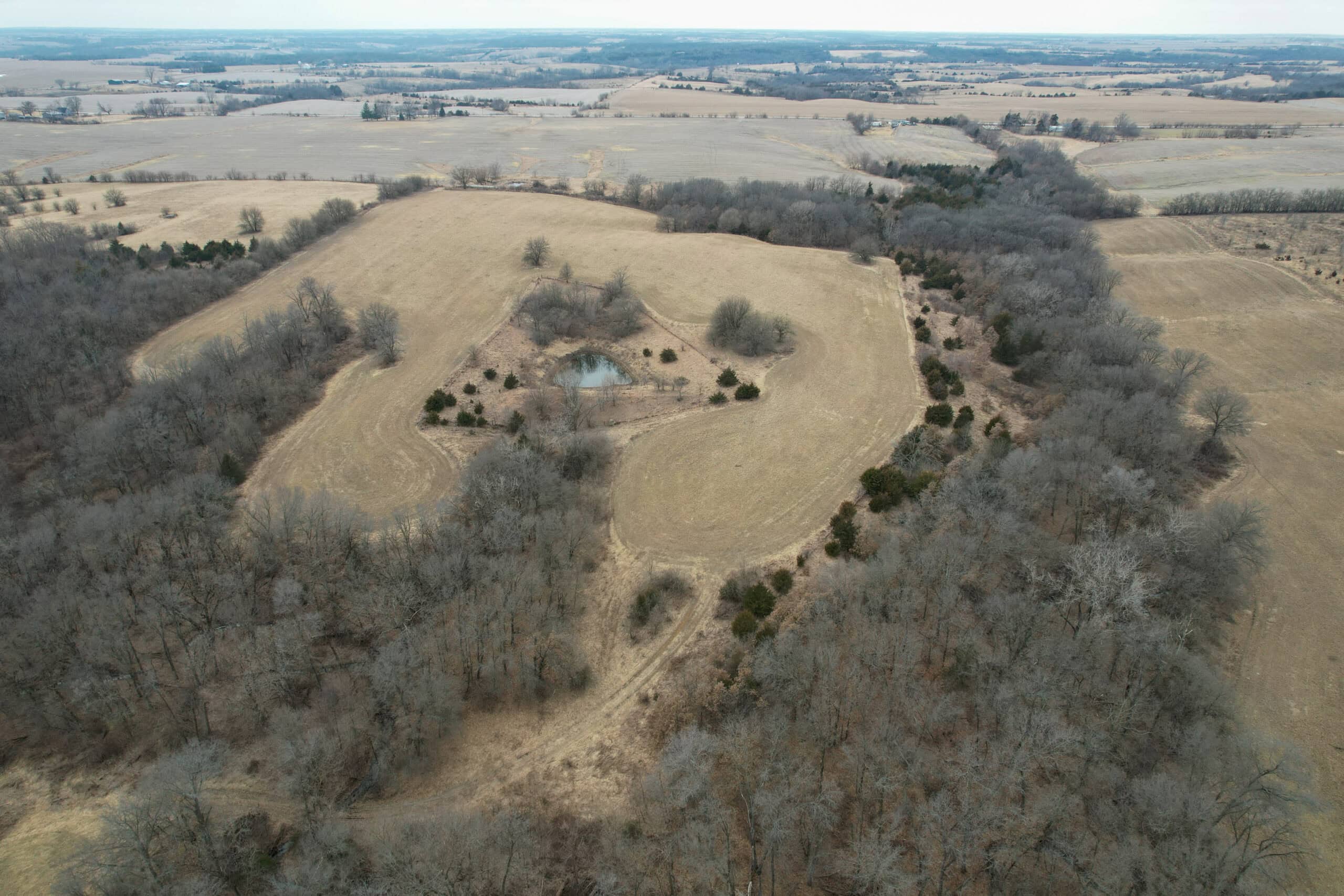 125+/- Acres | Combination Farm with Timber, Pasture & Hunting Potential | Appanoose County, IA