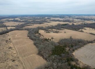 125+/- Acres | Combination Farm with Timber, Pasture & Hunting Potential | Appanoose County, IA