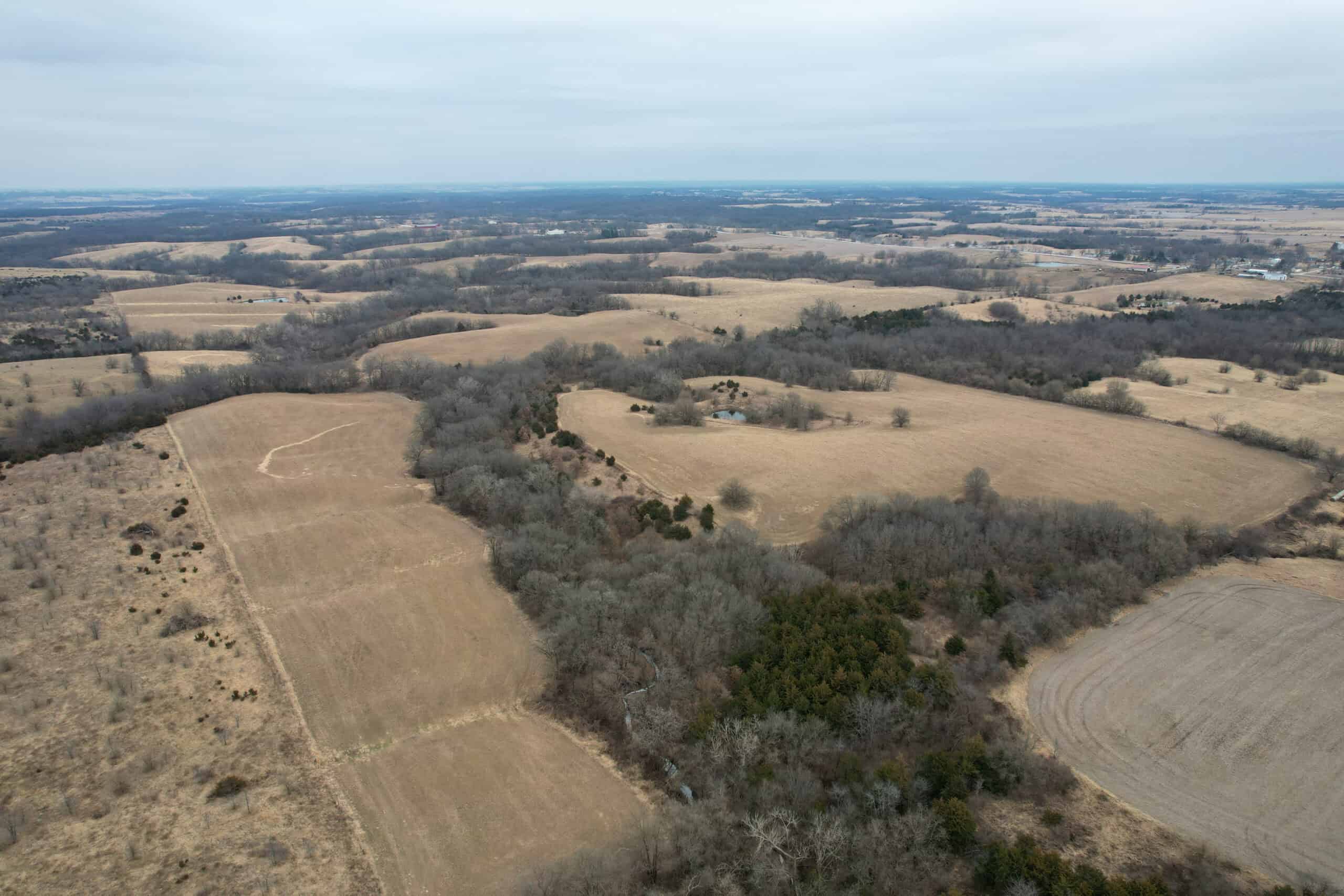 125+/- Acres | Combination Farm with Timber, Pasture & Hunting Potential | Appanoose County, IA