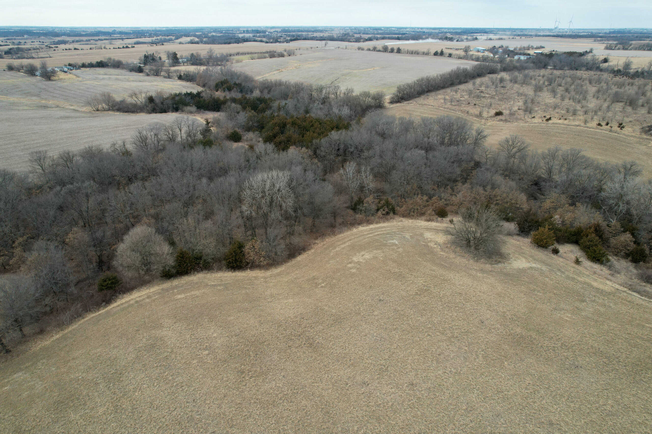 125+/- Acres | Combination Farm with Timber, Pasture & Hunting Potential | Appanoose County, IA