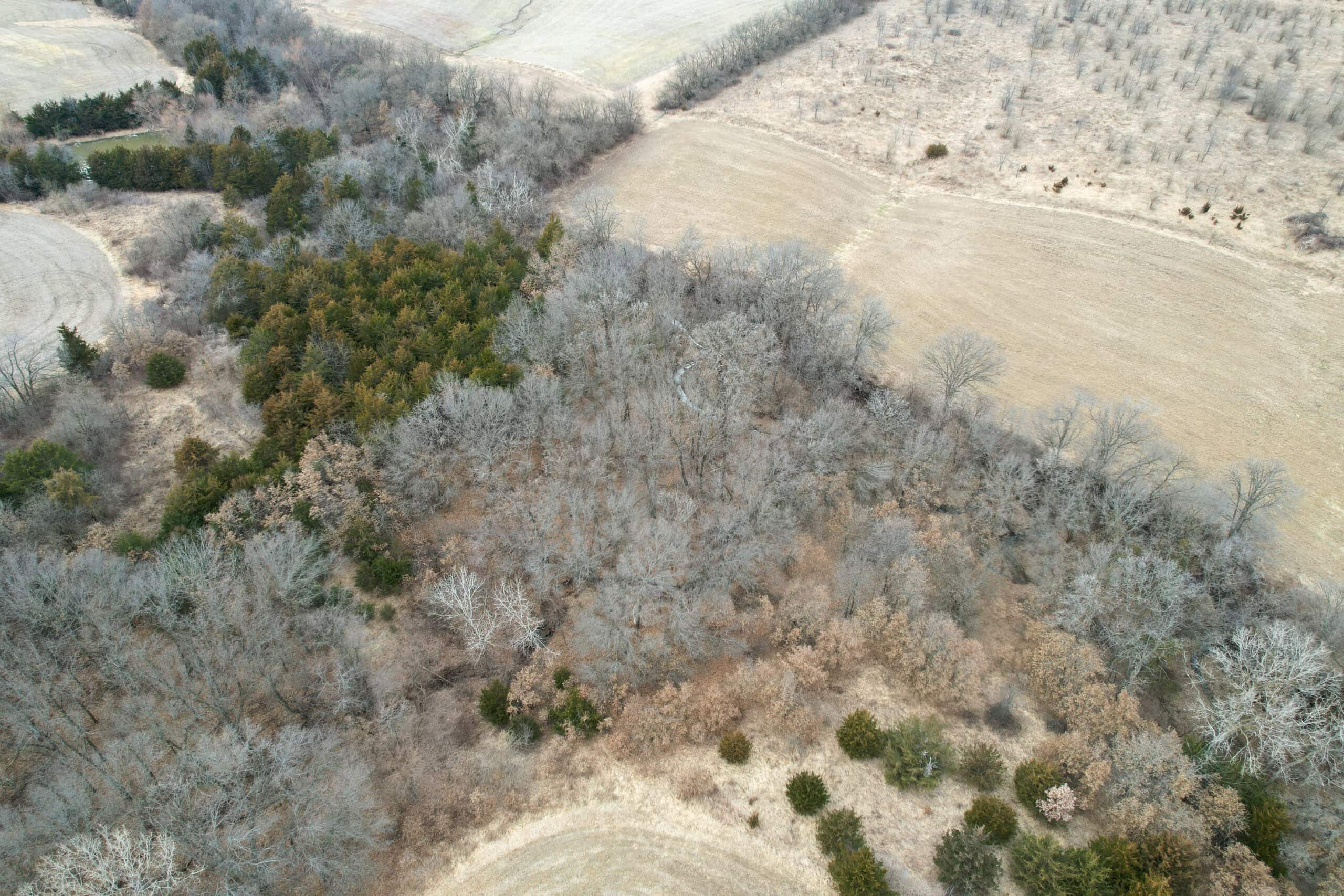 125+/- Acres | Combination Farm with Timber, Pasture & Hunting Potential | Appanoose County, IA