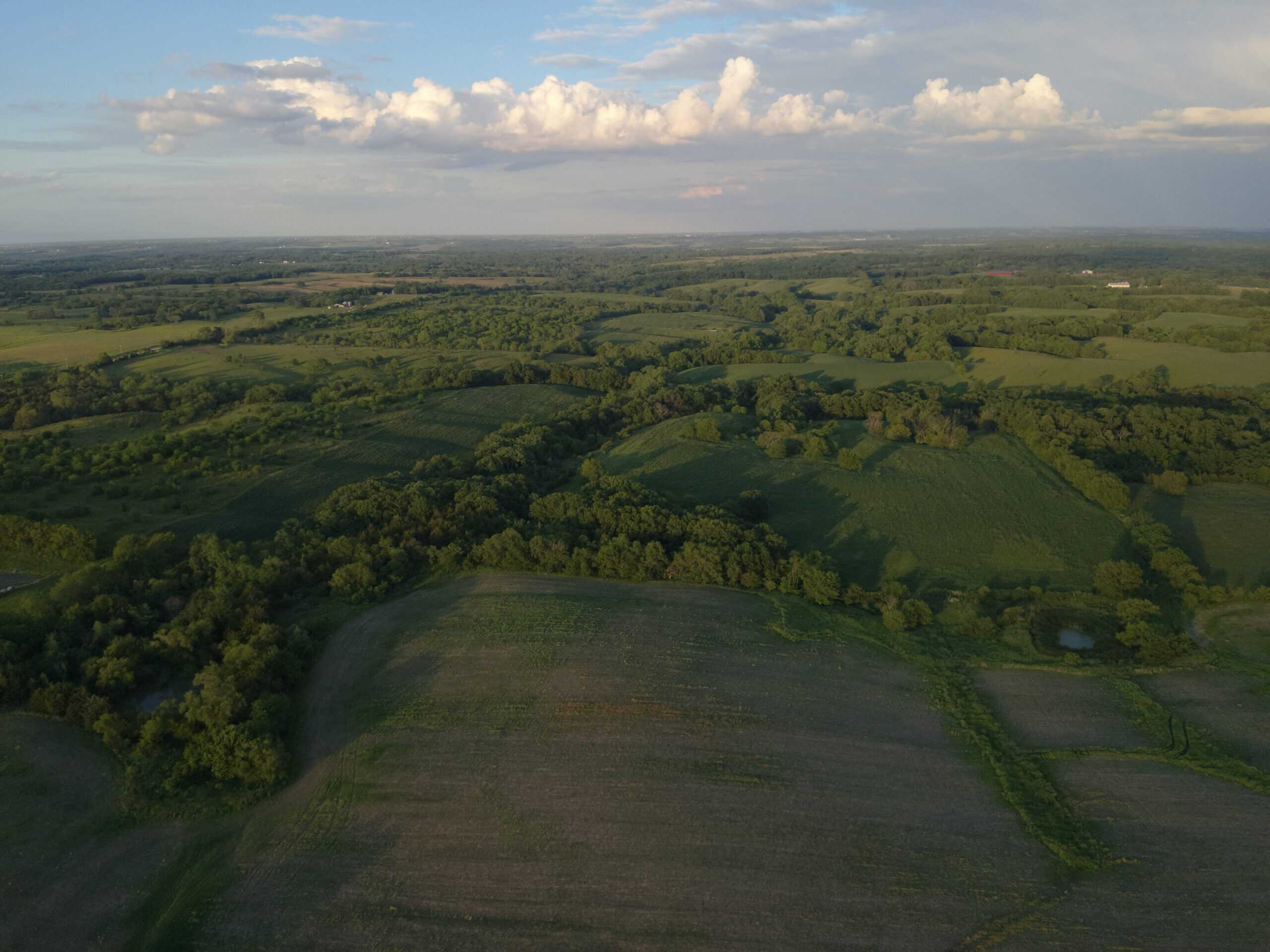 125+/- Acres | Combination Farm with Timber, Pasture & Hunting Potential | Appanoose County, IA