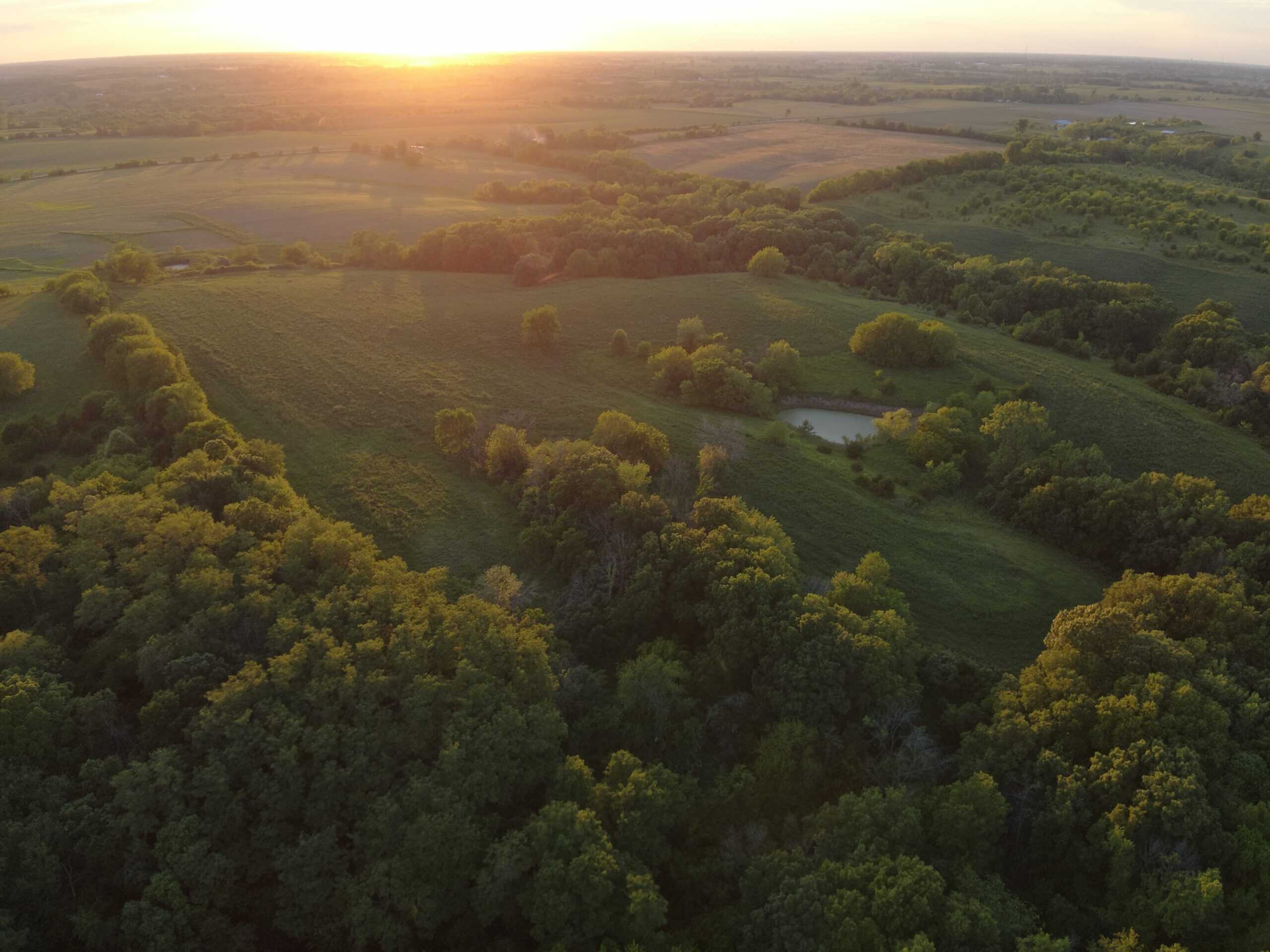 125+/- Acres | Combination Farm with Timber, Pasture & Hunting Potential | Appanoose County, IA
