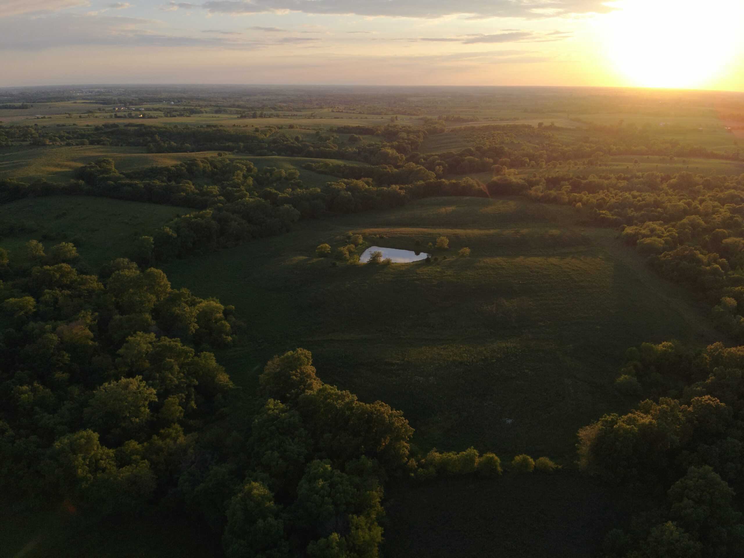 125+/- Acres | Combination Farm with Timber, Pasture & Hunting Potential | Appanoose County, IA