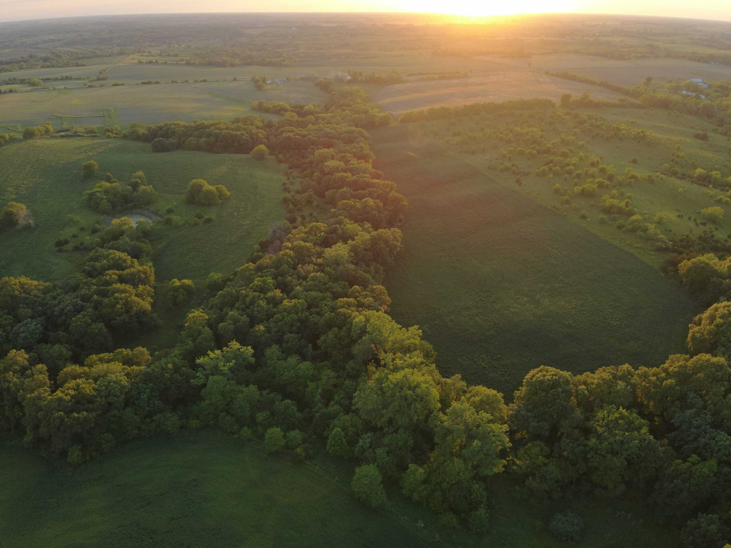 125+/- Acres | Combination Farm with Timber, Pasture & Hunting Potential | Appanoose County, IA