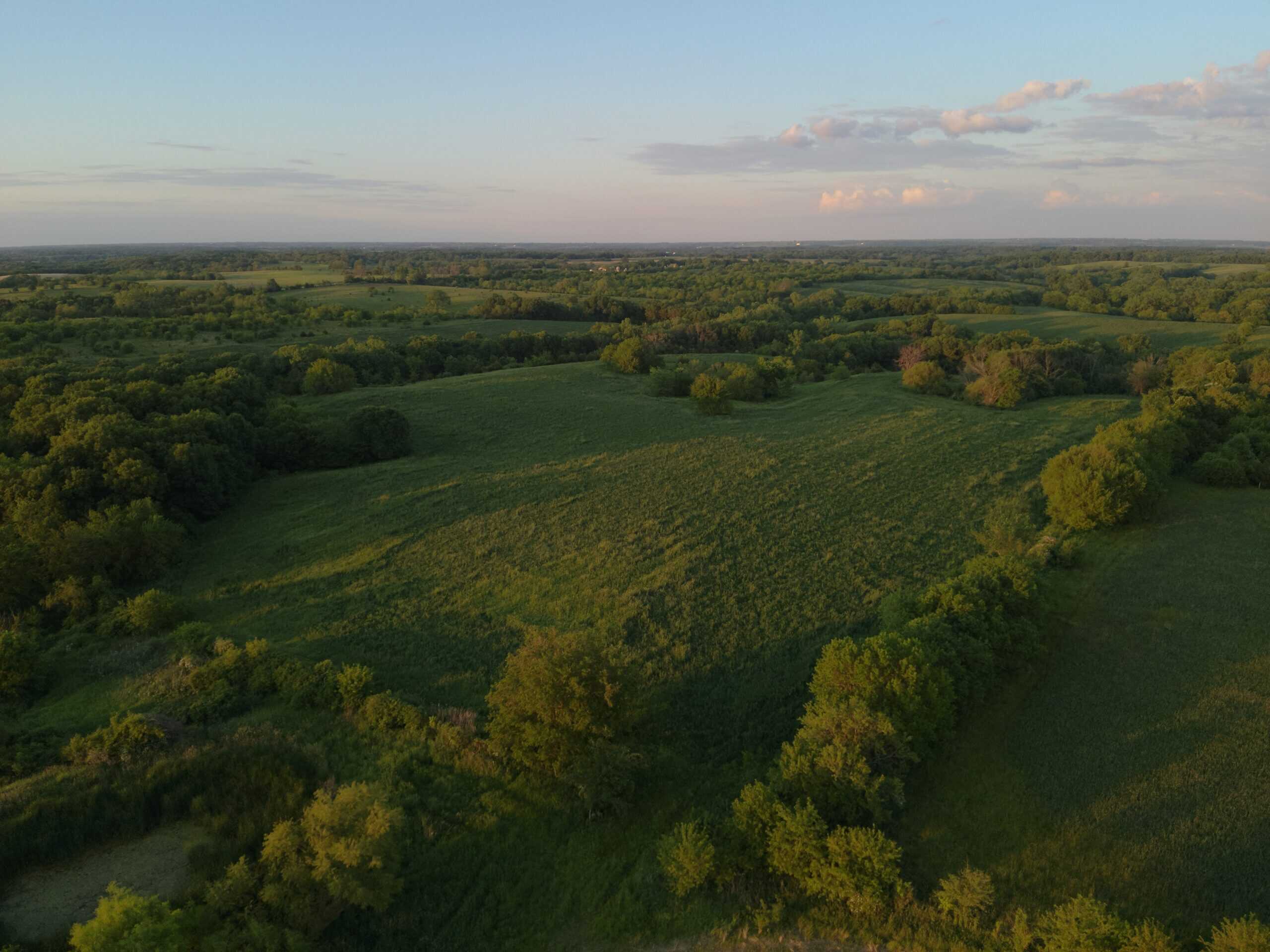 125+/- Acres | Combination Farm with Timber, Pasture & Hunting Potential | Appanoose County, IA