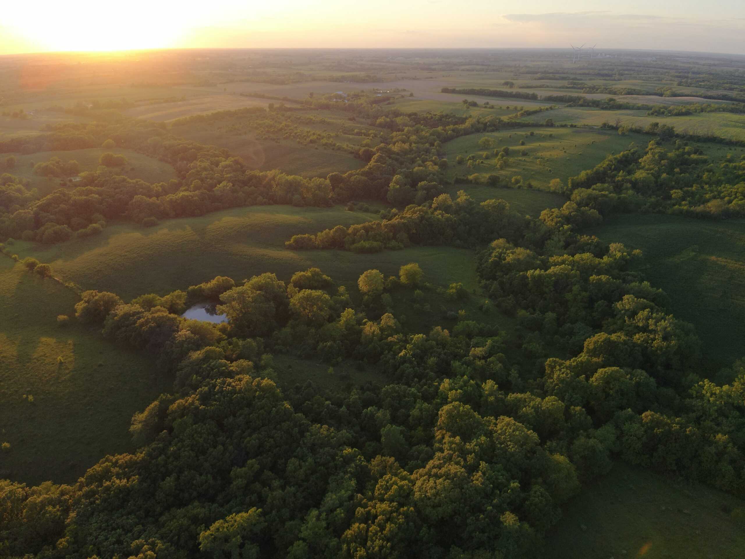 125+/- Acres | Combination Farm with Timber, Pasture & Hunting Potential | Appanoose County, IA