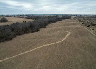 125+/- Acres | Combination Farm with Timber, Pasture & Hunting Potential | Appanoose County, IA