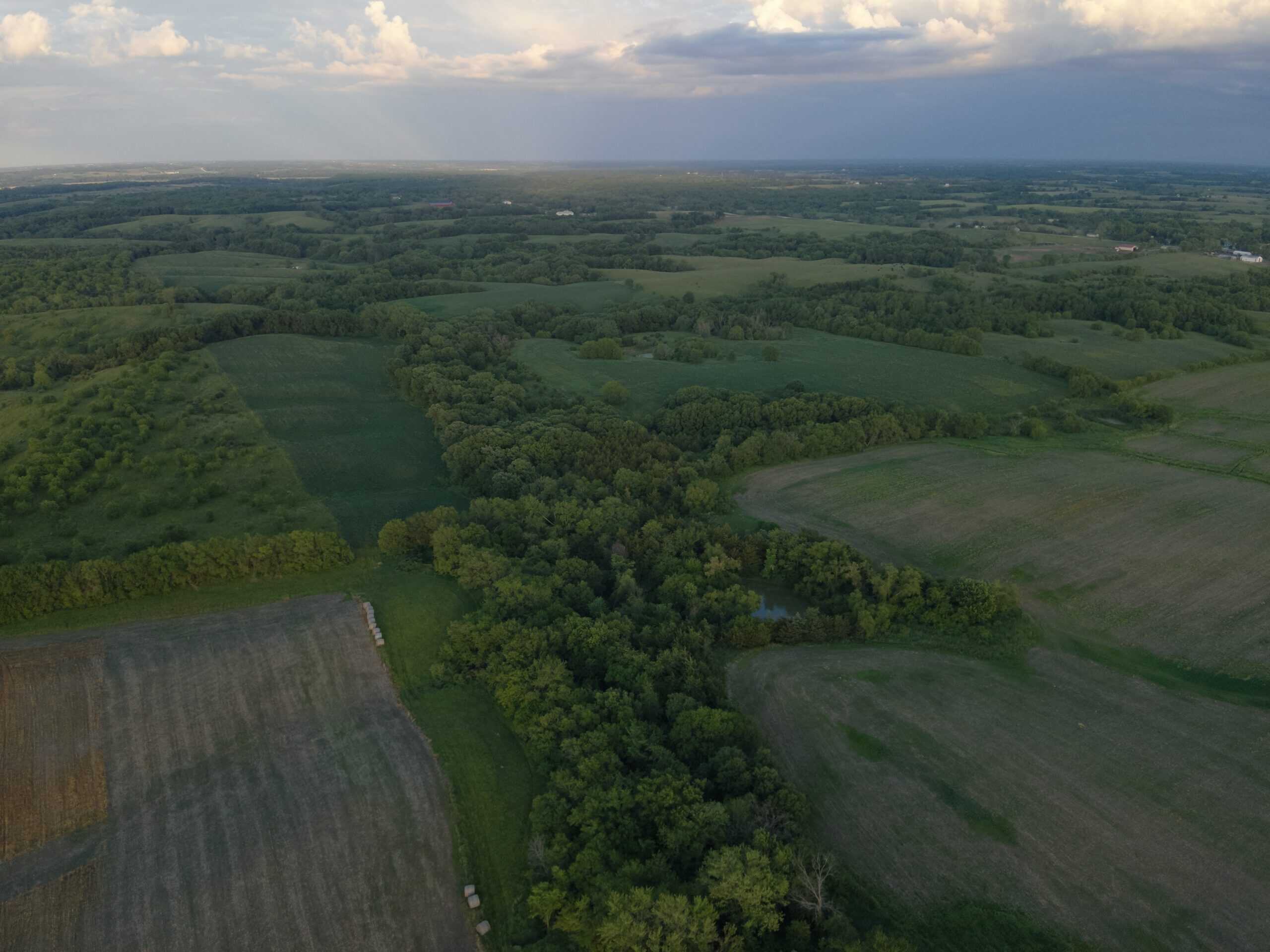 125+/- Acres | Combination Farm with Timber, Pasture & Hunting Potential | Appanoose County, IA