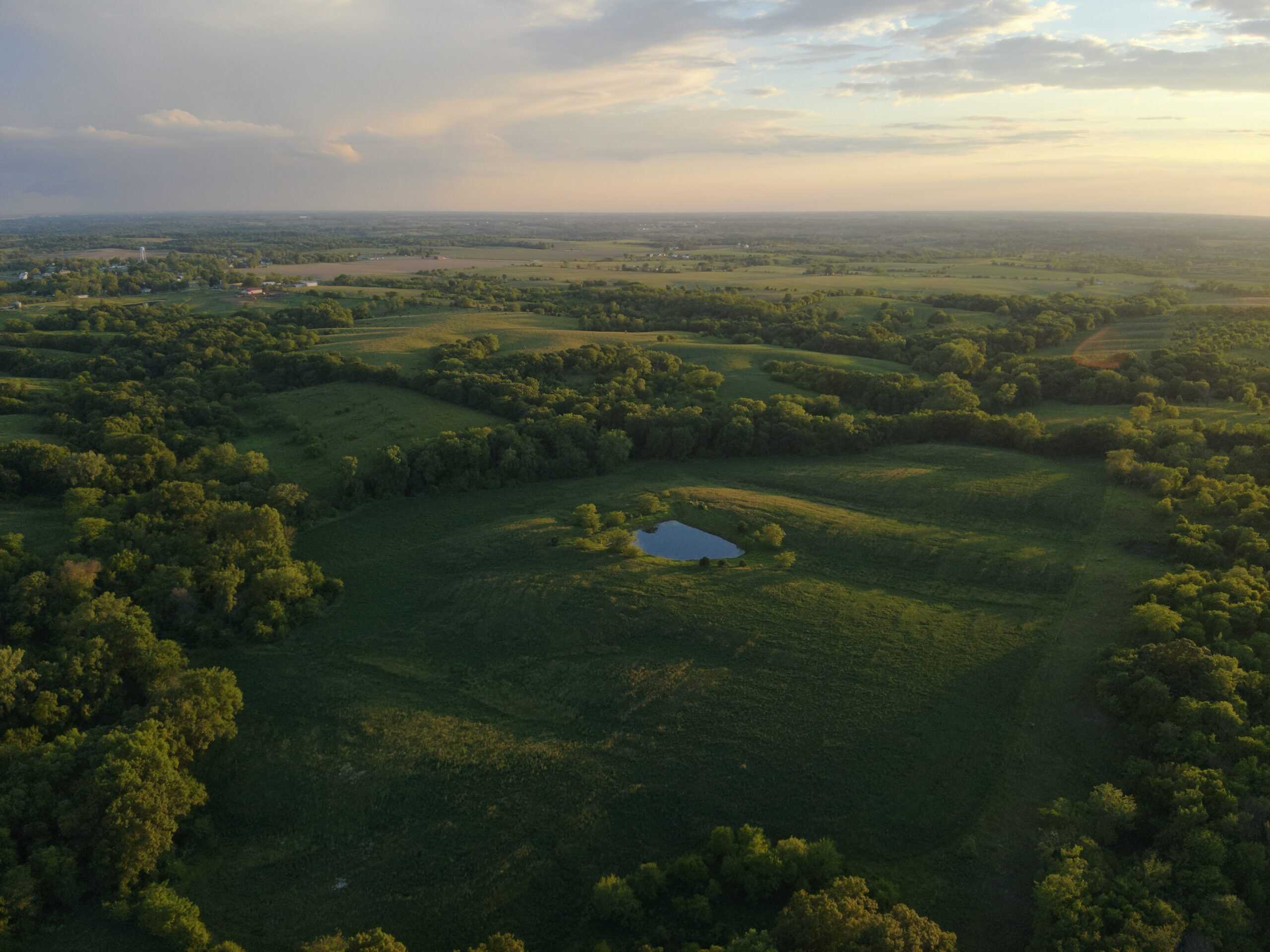 125+/- Acres | Combination Farm with Timber, Pasture & Hunting Potential | Appanoose County, IA
