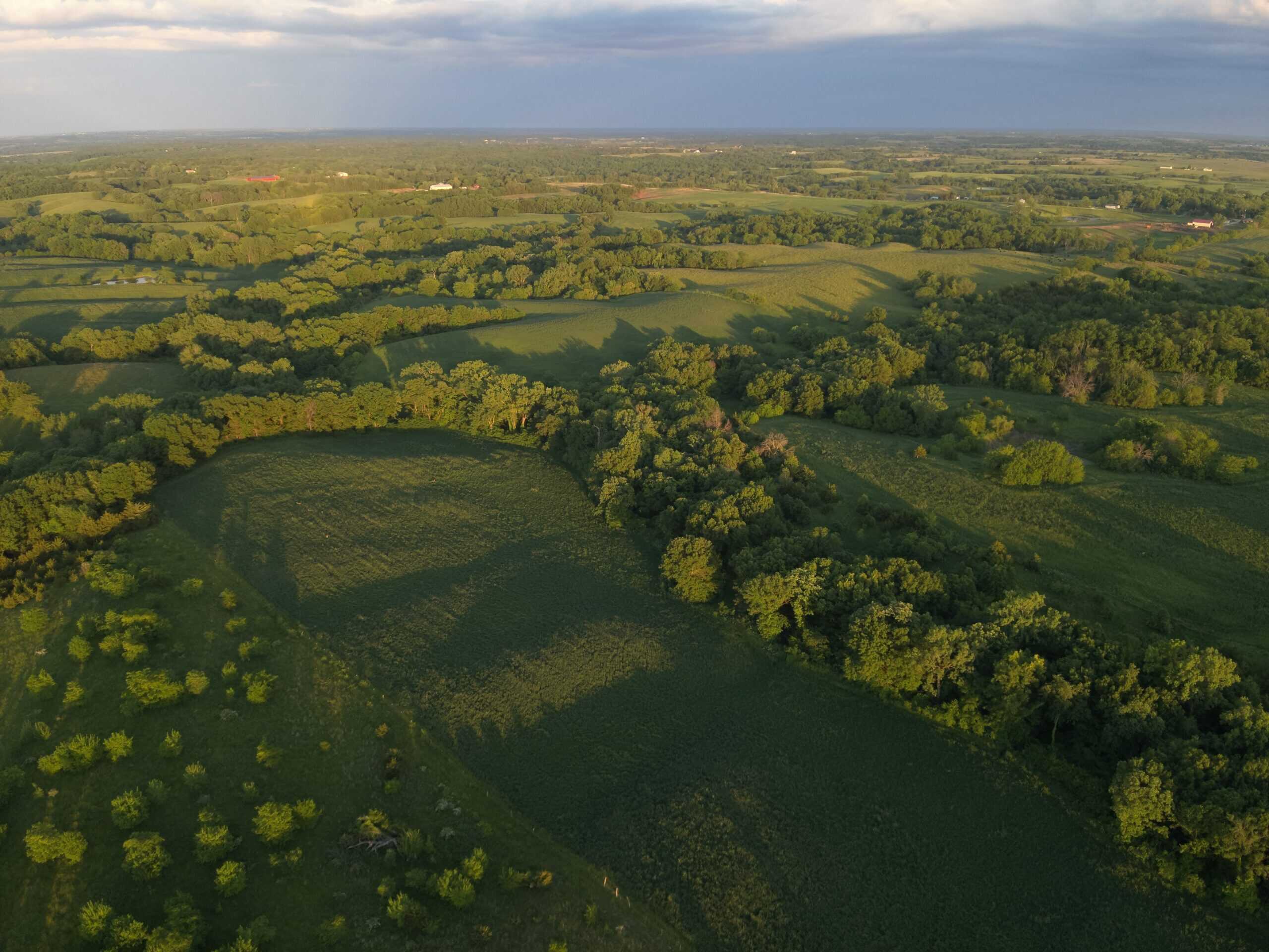 125+/- Acres | Combination Farm with Timber, Pasture & Hunting Potential | Appanoose County, IA