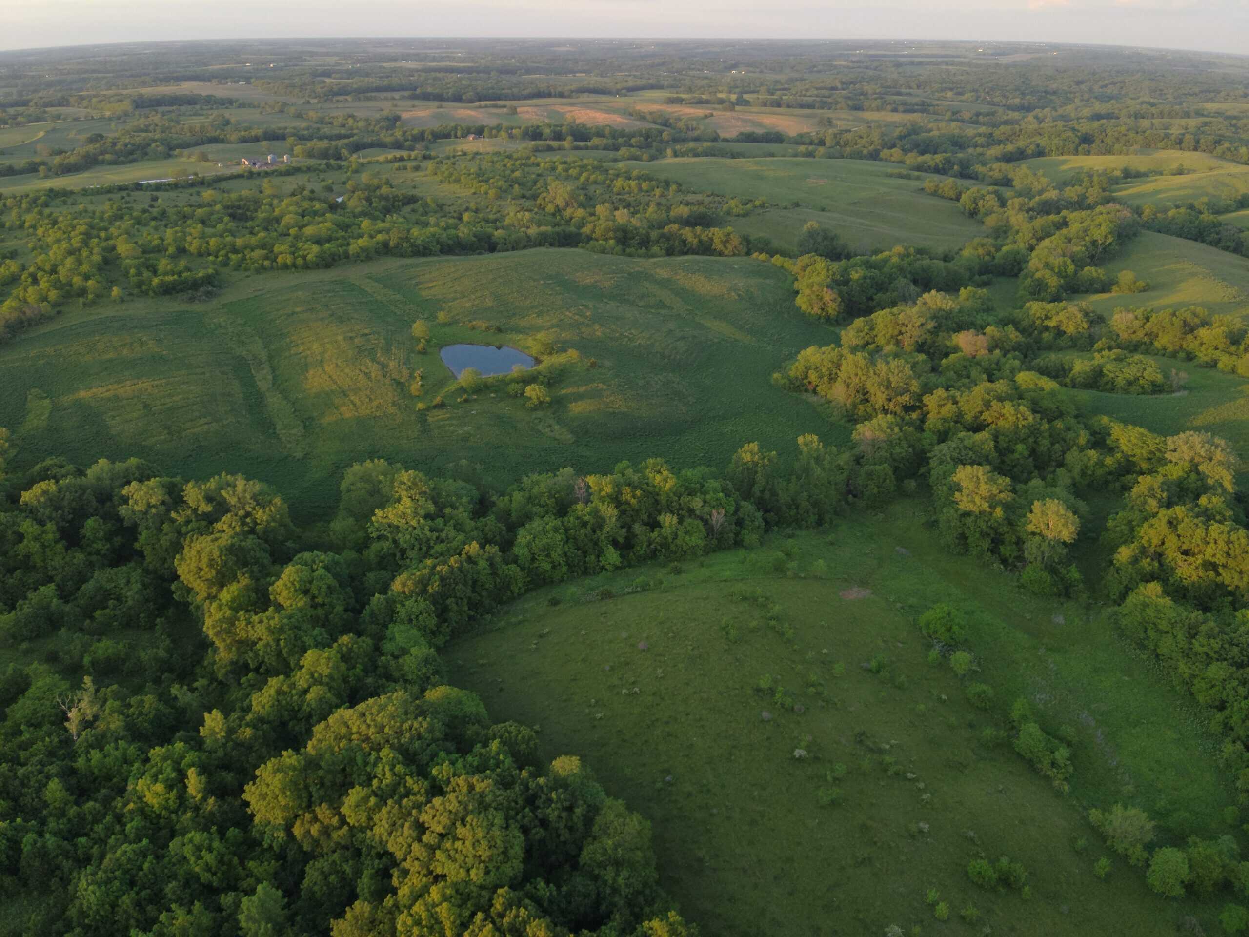 125+/- Acres | Combination Farm with Timber, Pasture & Hunting Potential | Appanoose County, IA