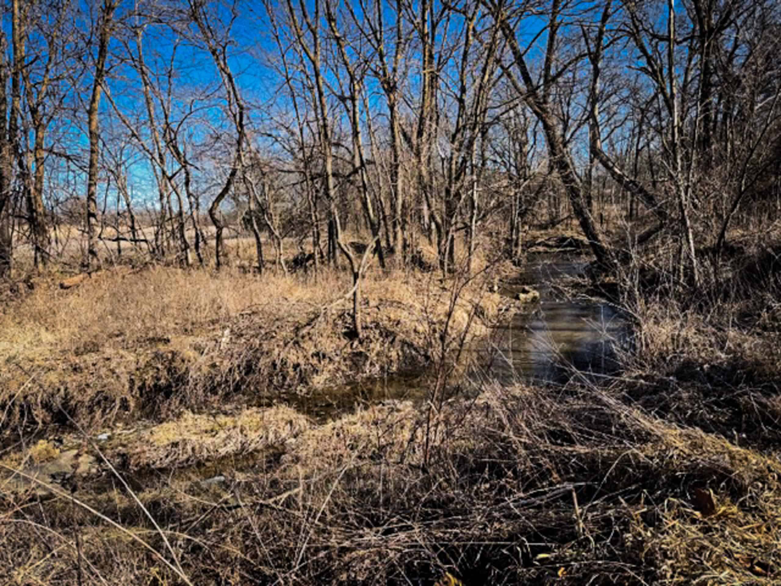 19± Acres of Land for Sale in Daviess County, Missouri