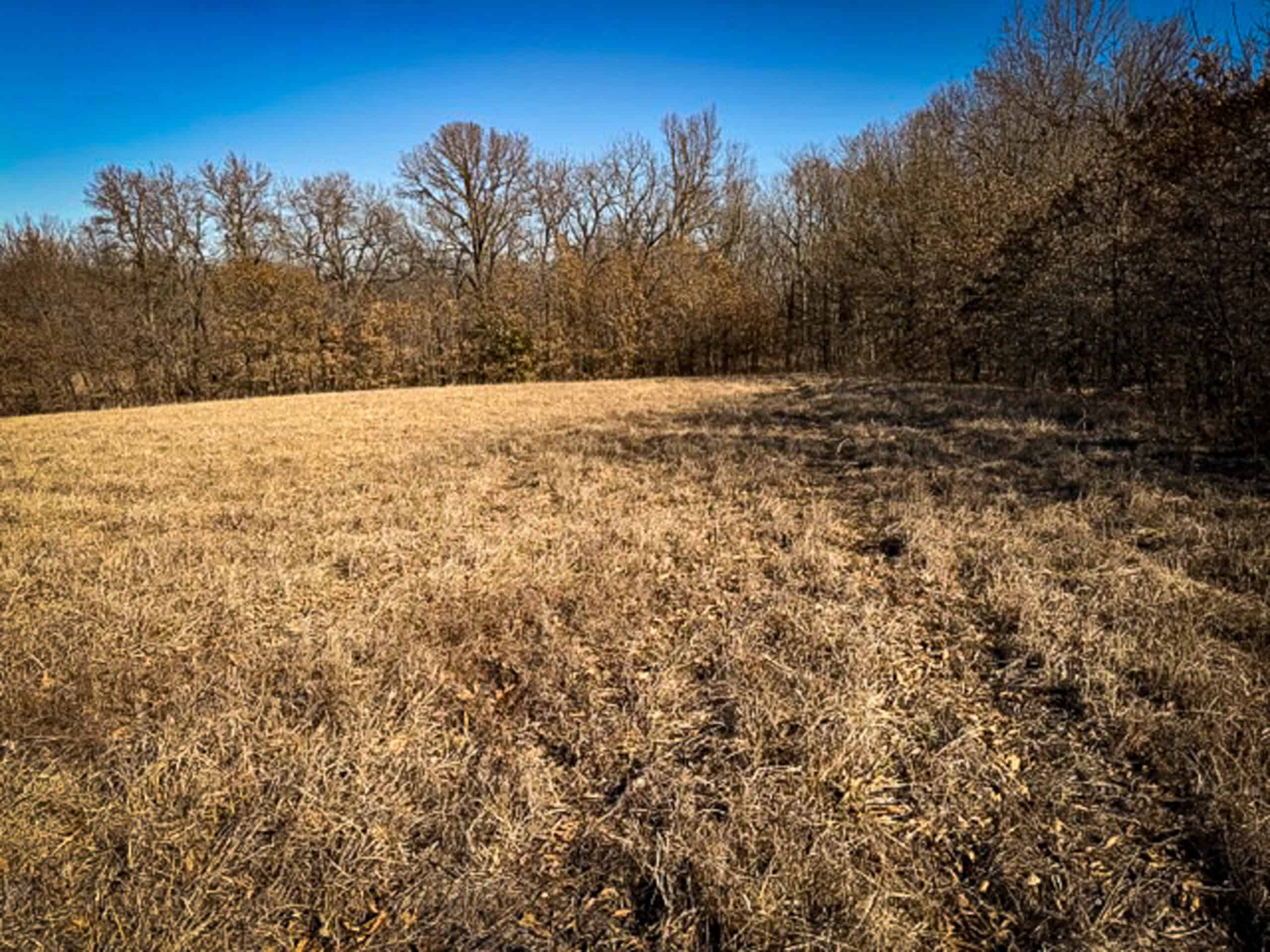 19± Acres of Land for Sale in Daviess County, Missouri