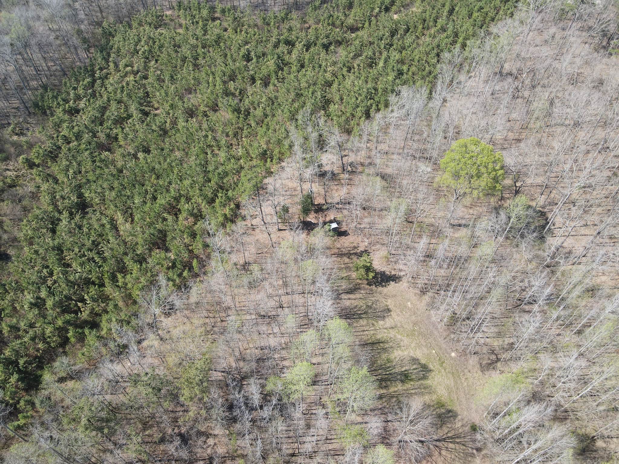 CABIN FOR SALE IN TN, HUNTING, STORAGE, SHELTER, WOODED