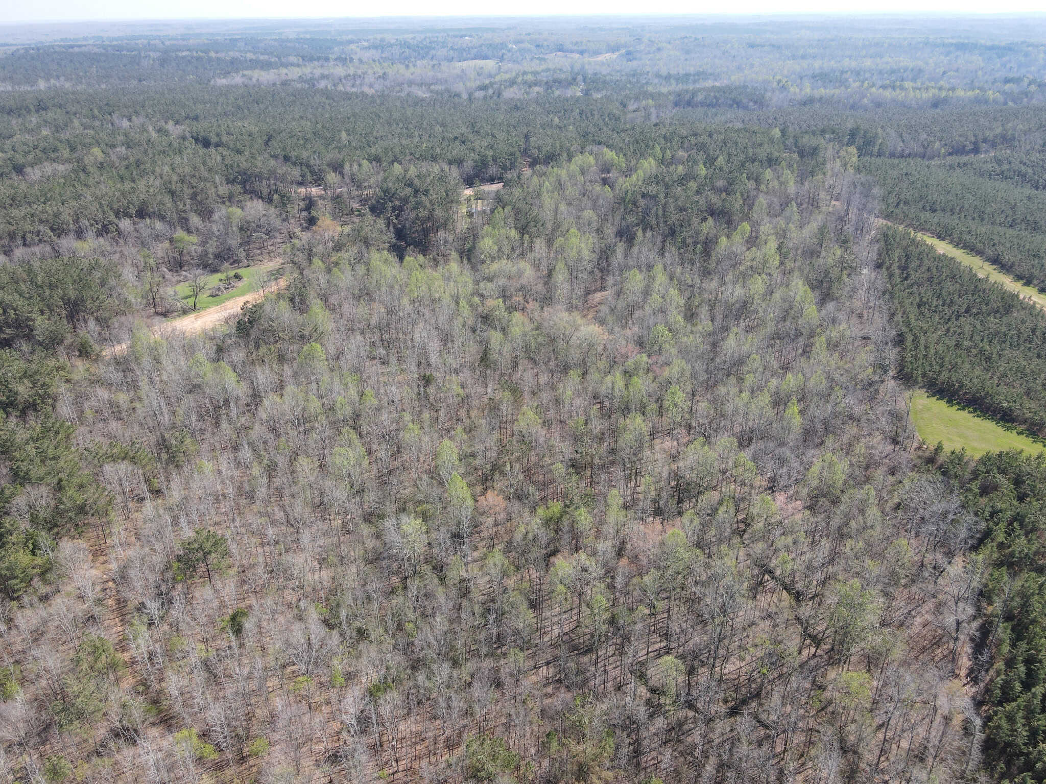 CABIN FOR SALE IN TN, HUNTING, STORAGE, SHELTER, WOODED