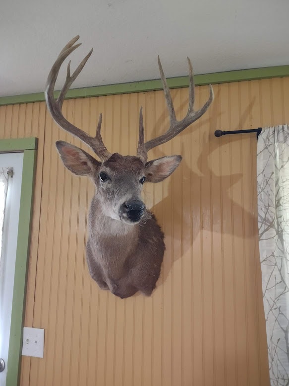Hunting Paradise with Country Home For SALE in Wright County Mo.