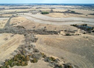 Clarke County 158 +/- Acres Hunting & Income Farm