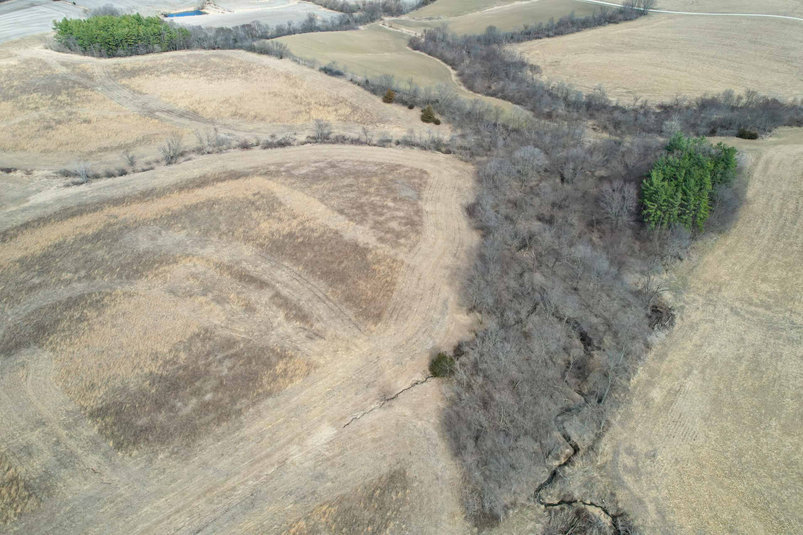 Clarke County 158 +/- Acres Hunting & Income Farm