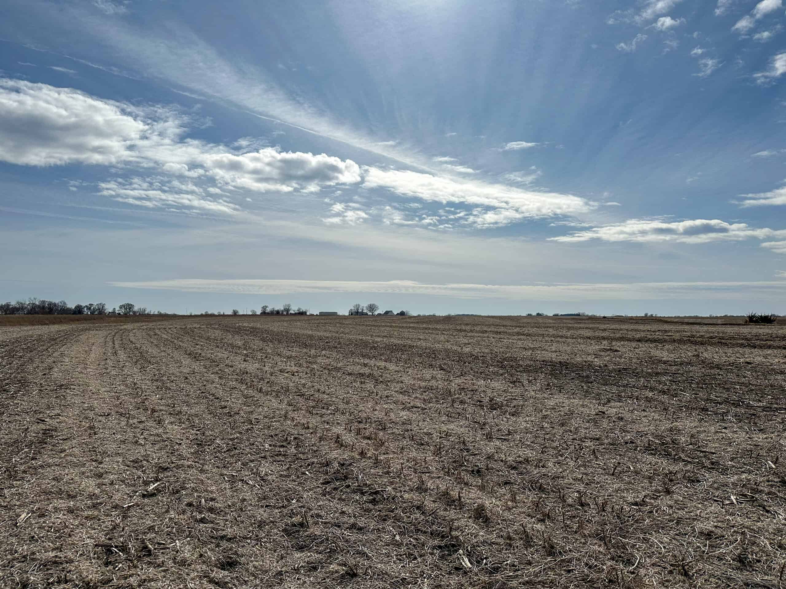 Clarke County 158 +/- Acres Hunting & Income Farm