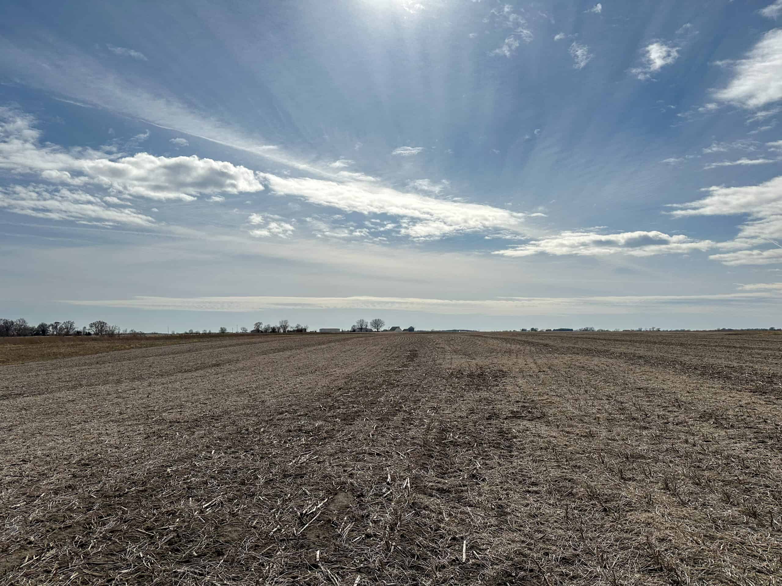 Clarke County 158 +/- Acres Hunting & Income Farm