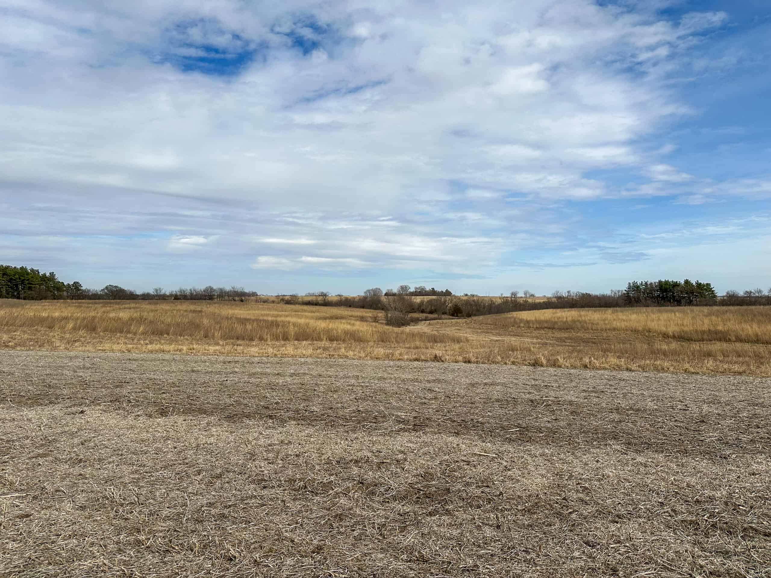 Clarke County 158 +/- Acres Hunting & Income Farm