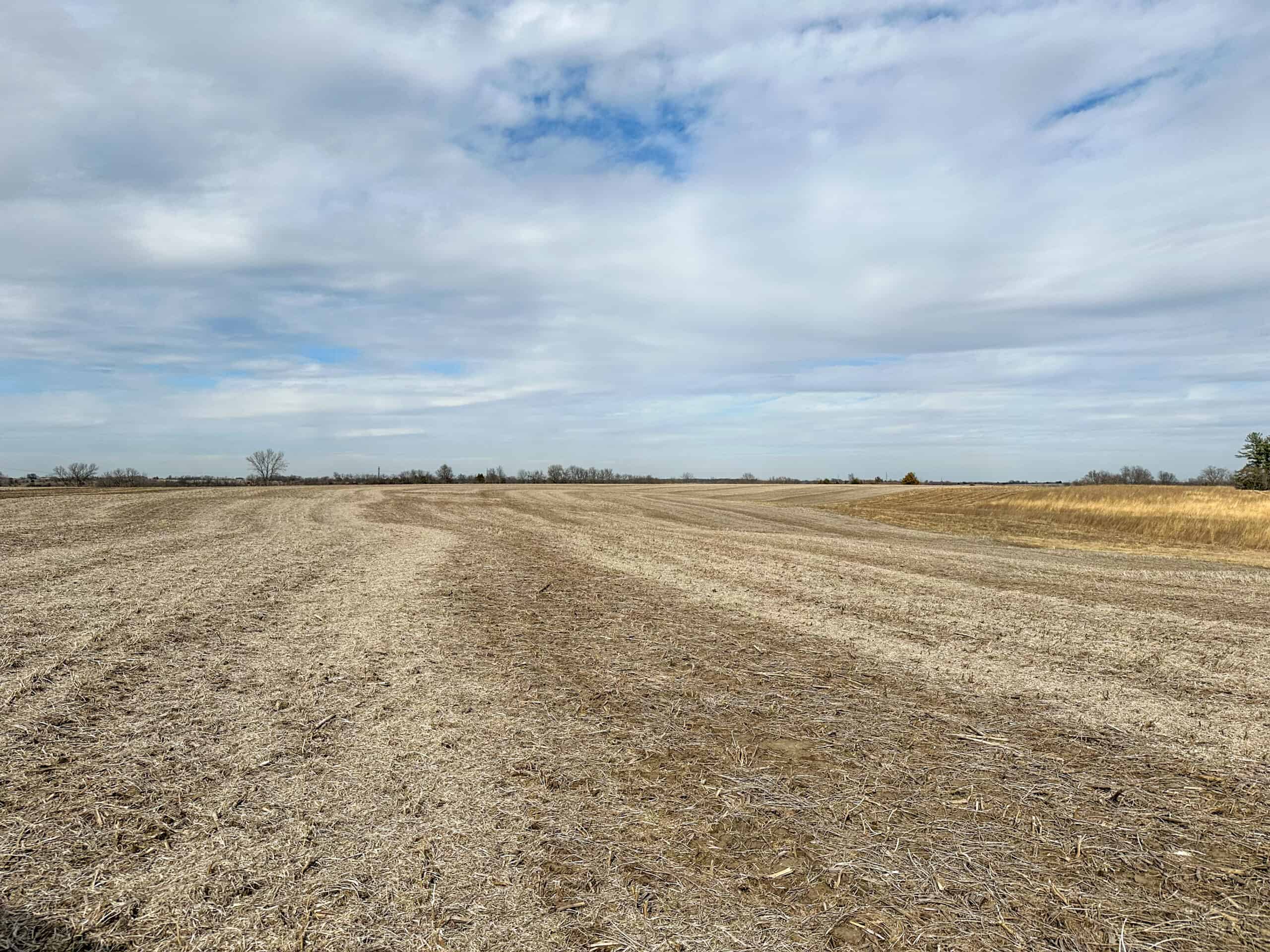 Clarke County 158 +/- Acres Hunting & Income Farm