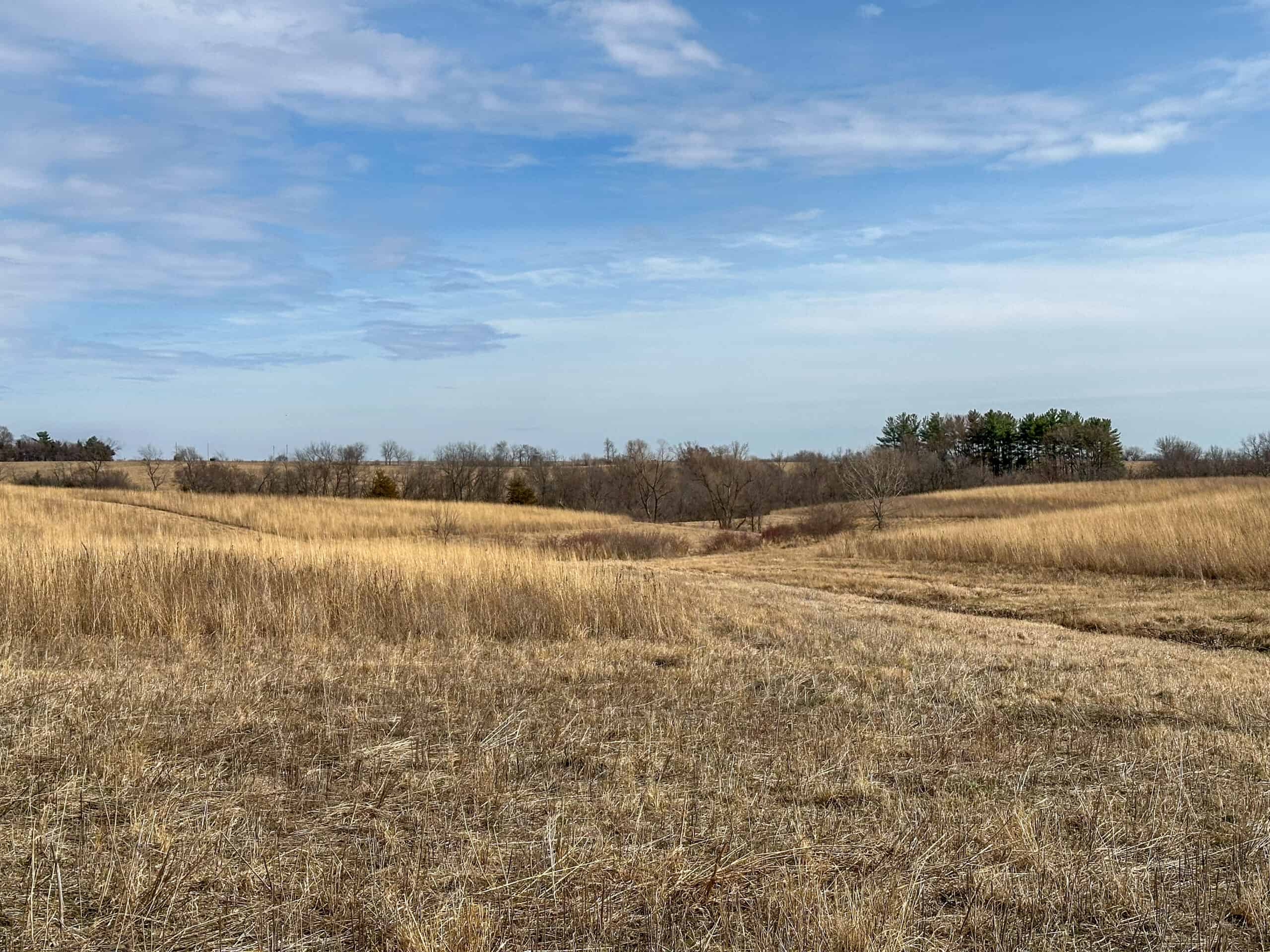 Clarke County 158 +/- Acres Hunting & Income Farm