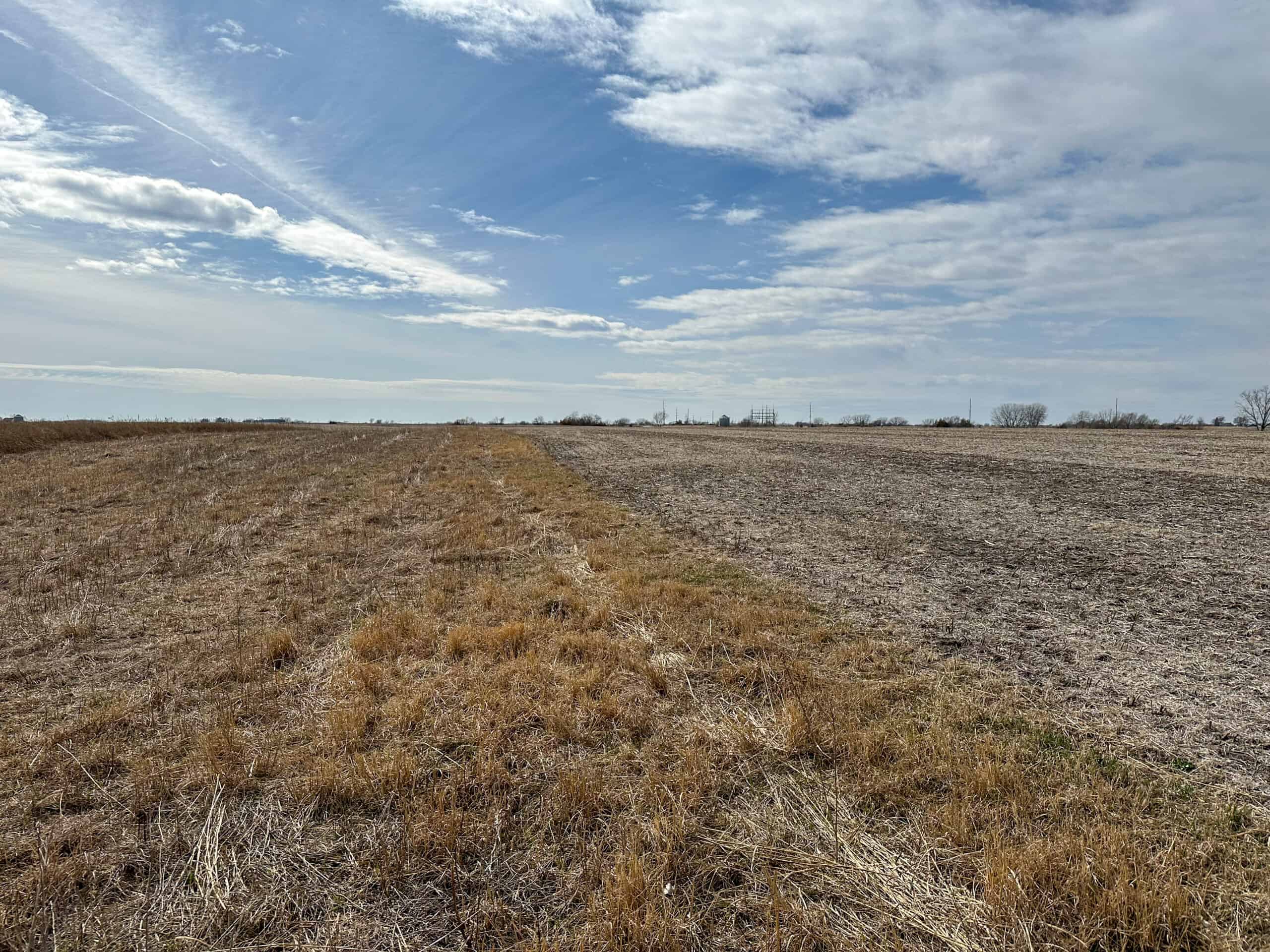 Clarke County 158 +/- Acres Hunting & Income Farm