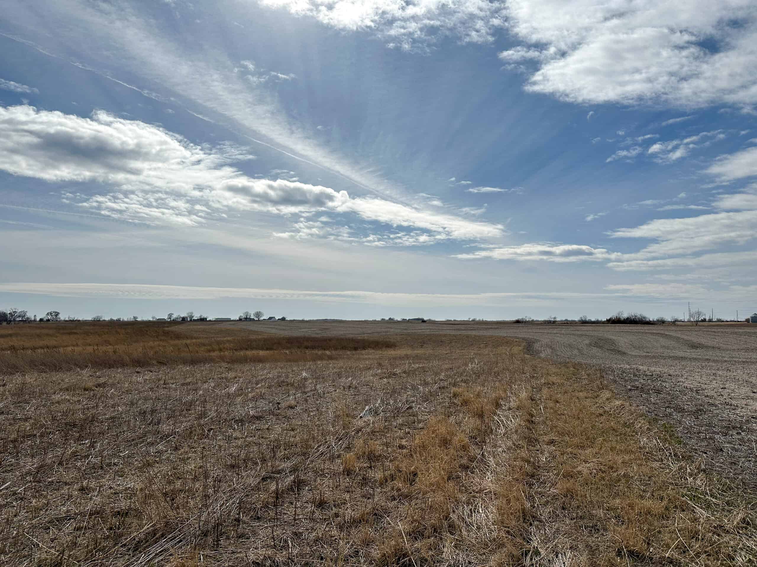 Clarke County 158 +/- Acres Hunting & Income Farm